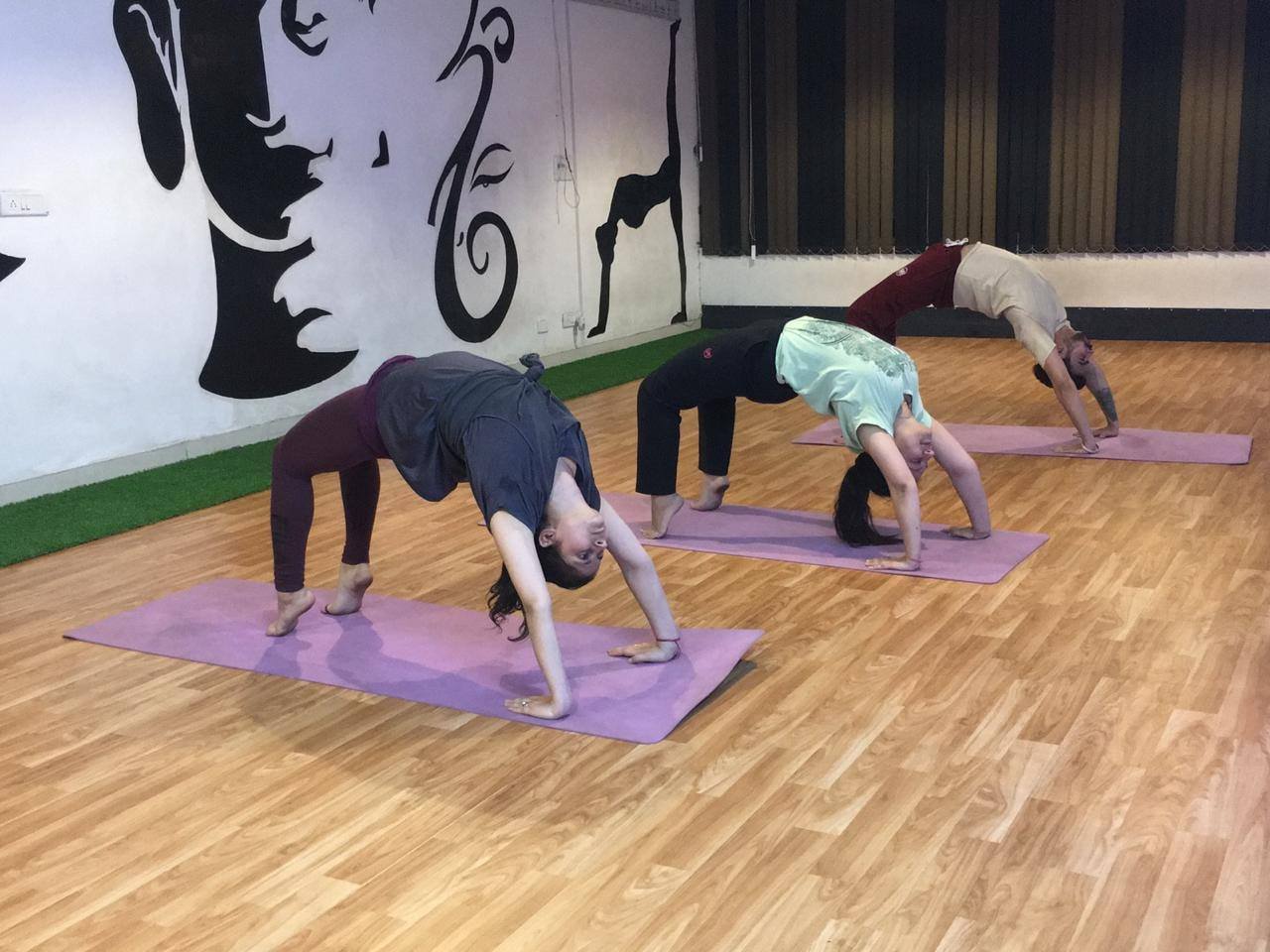 yoga and pilates in zirakpur, vip road yoga classes